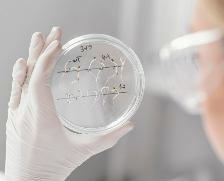 close-up-scientist-holding-petri-dish_23-2148918059